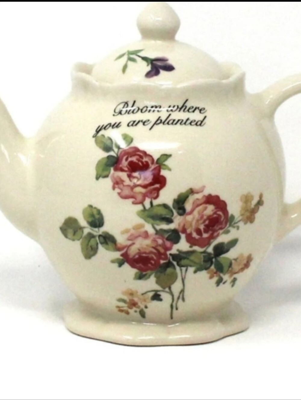 Bloom Where You Are Planted Floral Ceramic Teapot - Cream with Rose Print